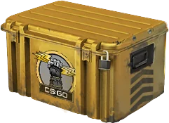 CS2 Glove Case sealed container render